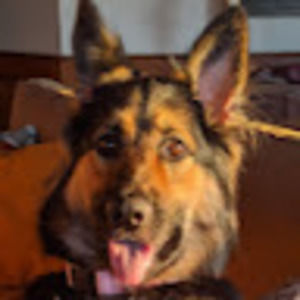 Meet your Posher, Mj & pj